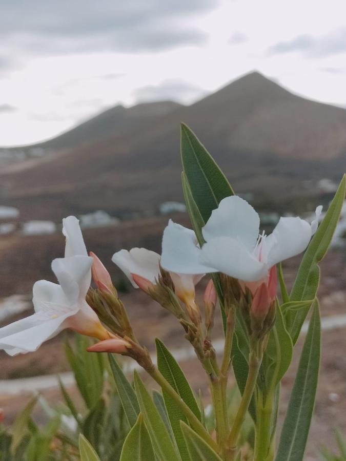 La Morreta Suites II - Lanzarote Tías Eksteriør bilde