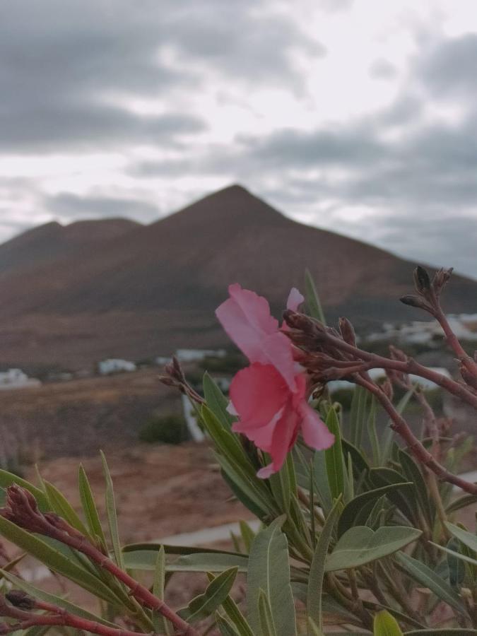 La Morreta Suites II - Lanzarote Tías Eksteriør bilde